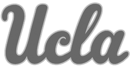 University Logo 4